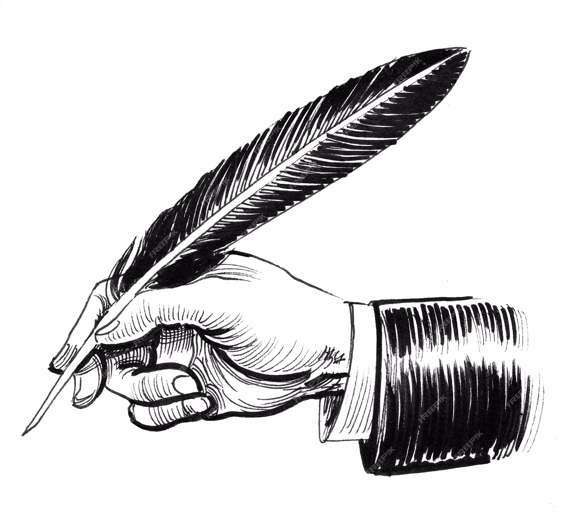Feather Pen Feather Pen